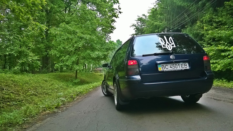 Фото в лісі 5