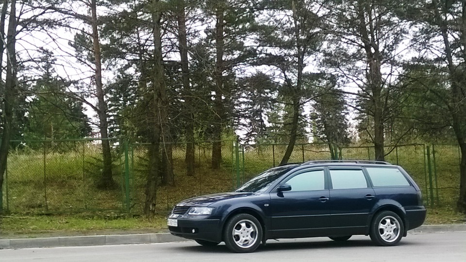 Пару фотографій 5