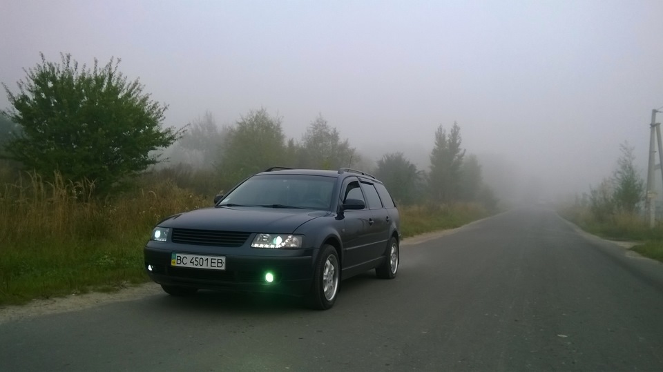 Туман 1