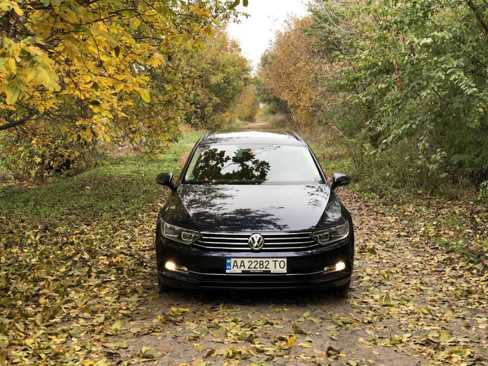 ФОТО #2 ОСІНЬ 🍁🍂🌦🌧 1
