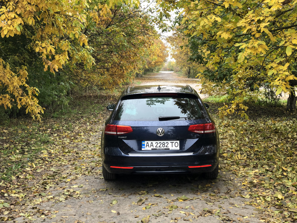 ФОТО #2 ОСІНЬ 🍁🍂🌦🌧 4