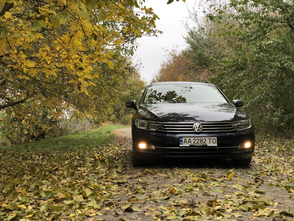 ФОТО #2 ОСІНЬ 🍁🍂🌦🌧 3