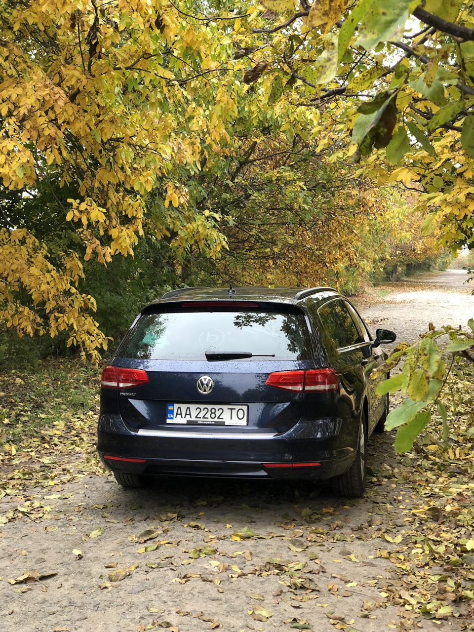ФОТО #2 ОСІНЬ 🍁🍂🌦🌧 5