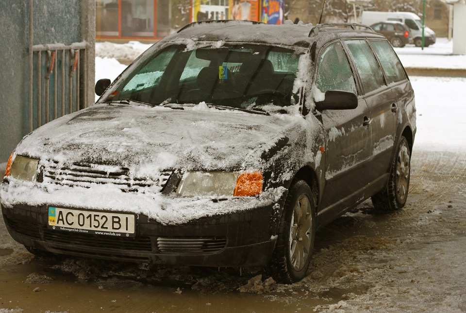 Білі мухи налетіли=) 1