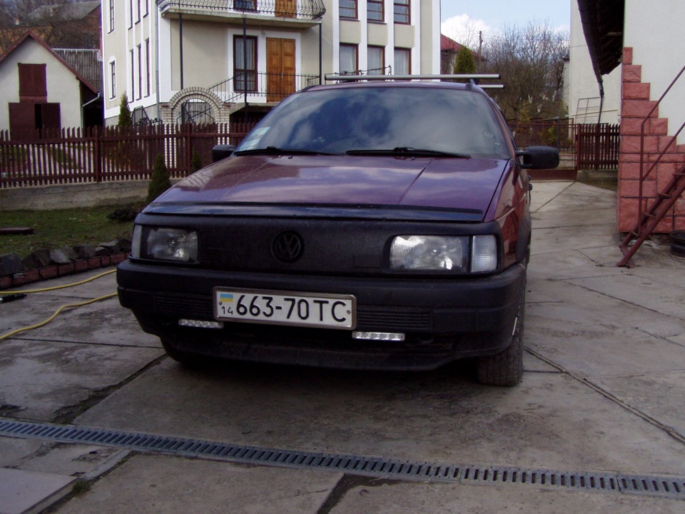 Мийка пасатику після зими. 3