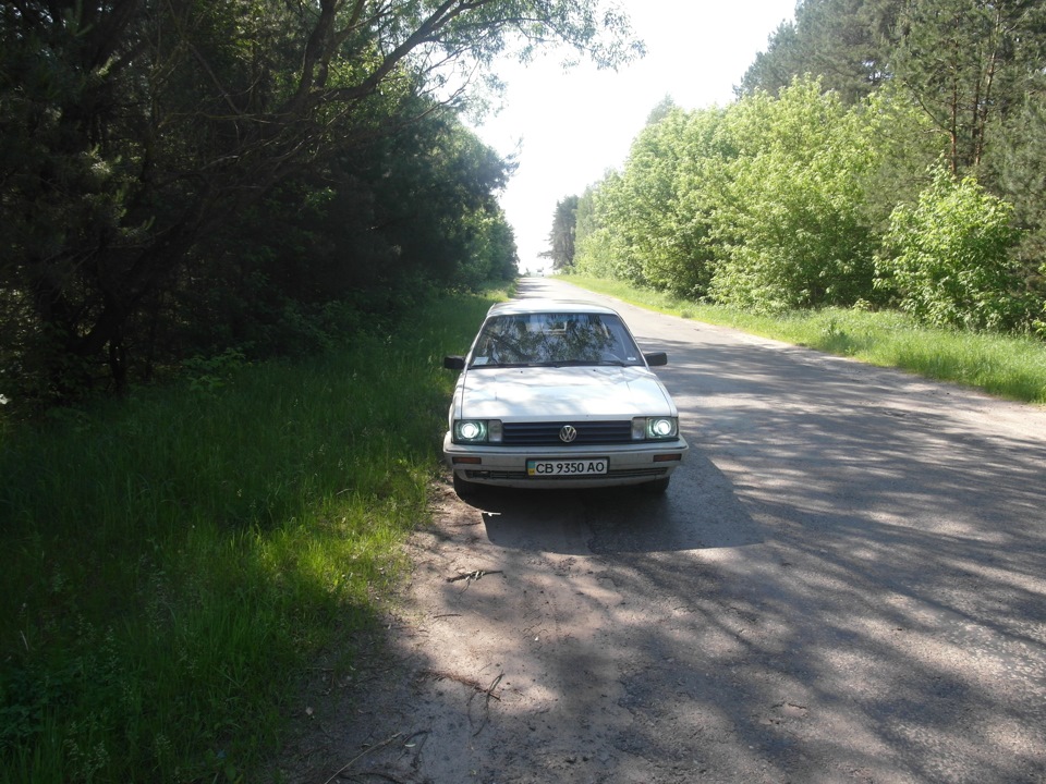 фотографія 3