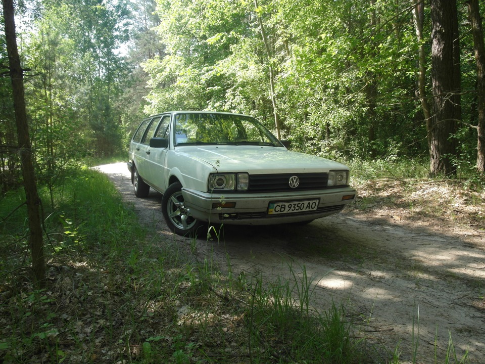 фотографія 5