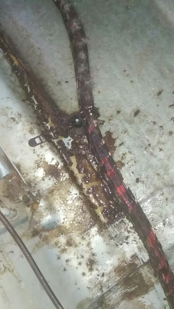 Багато всього 2