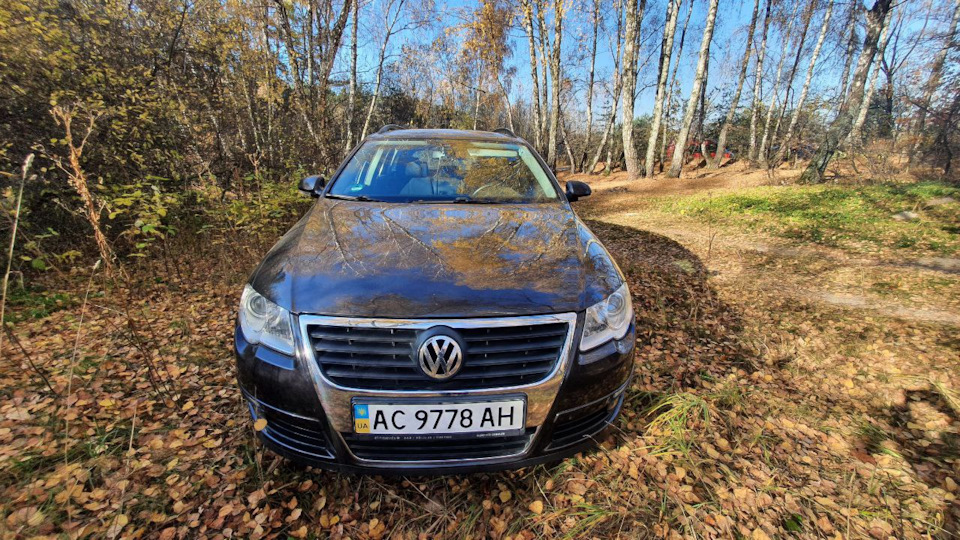 Нарешті виїхав у ліс за цілий місяць 2