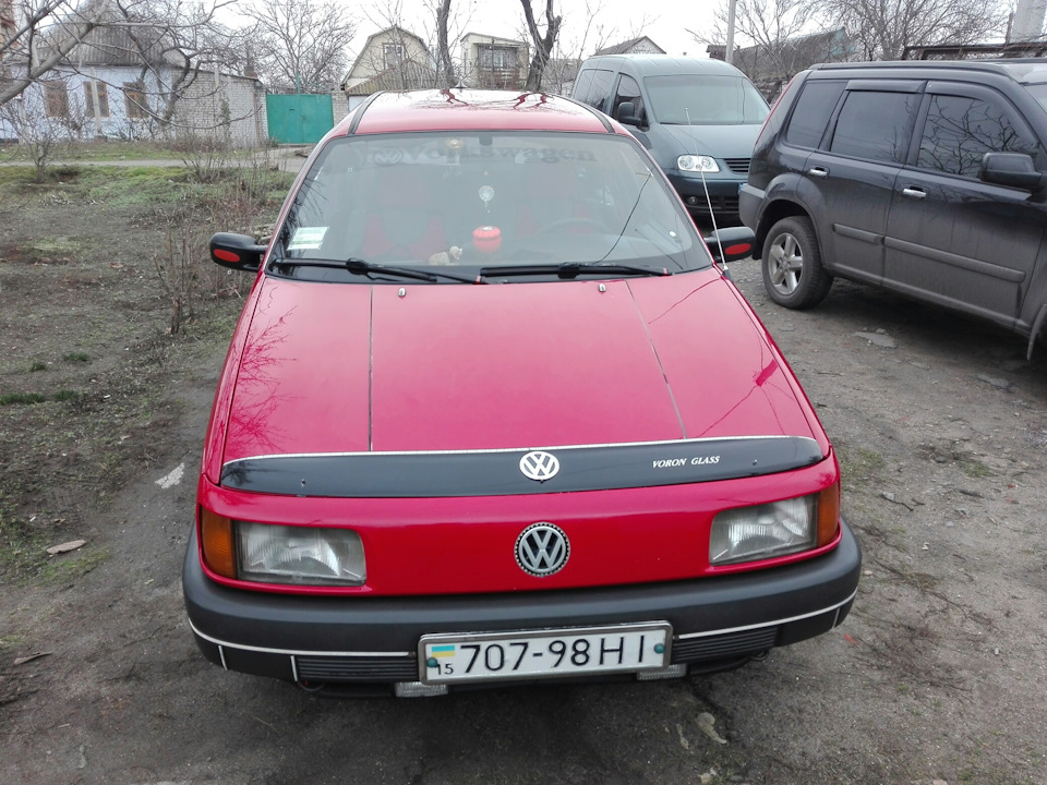 До нас зима прийти забула +10! 1