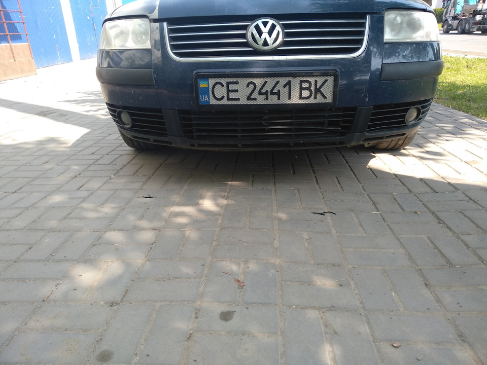 Ніштячки 5