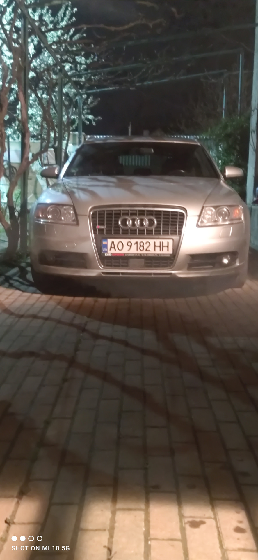 Поповнення в сім'ї! 1