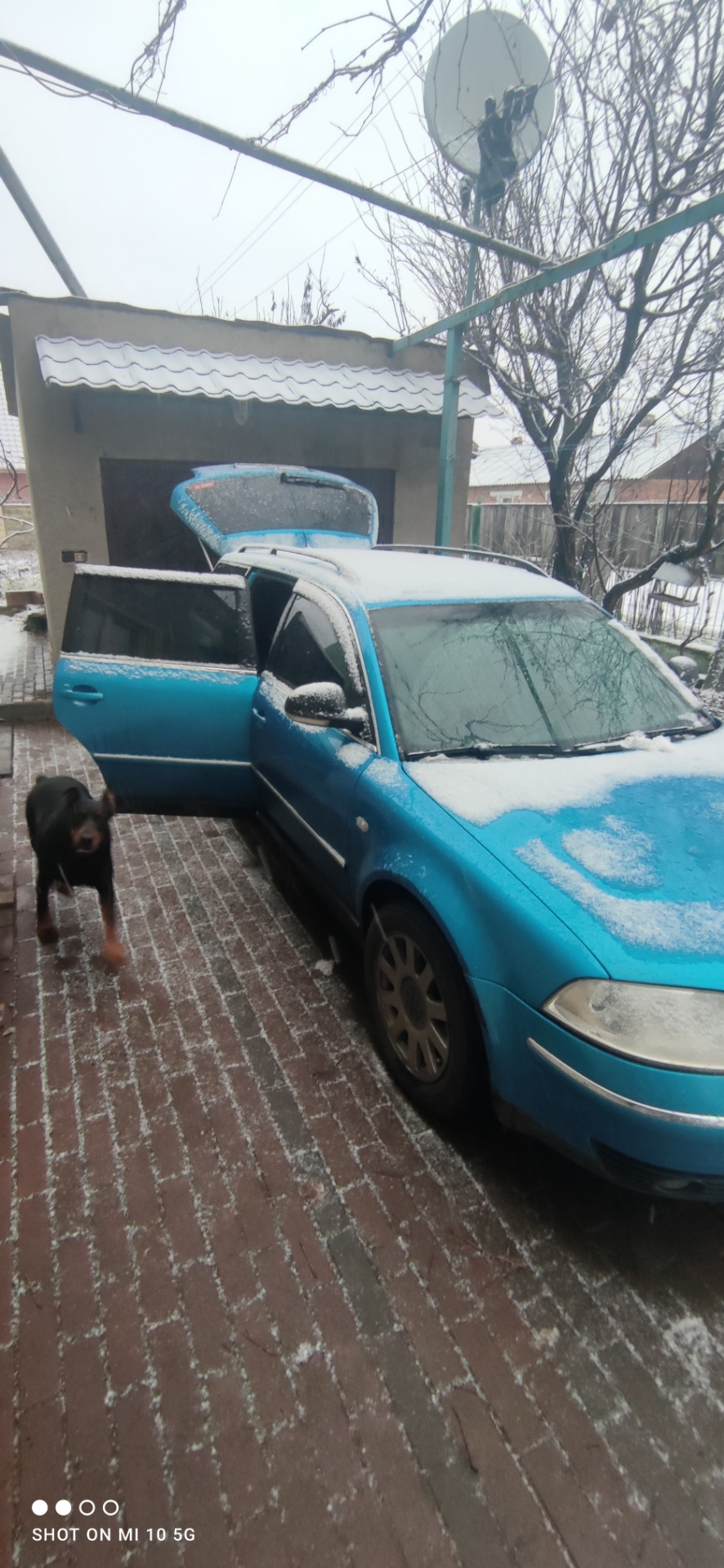 Раптовий сніг 2