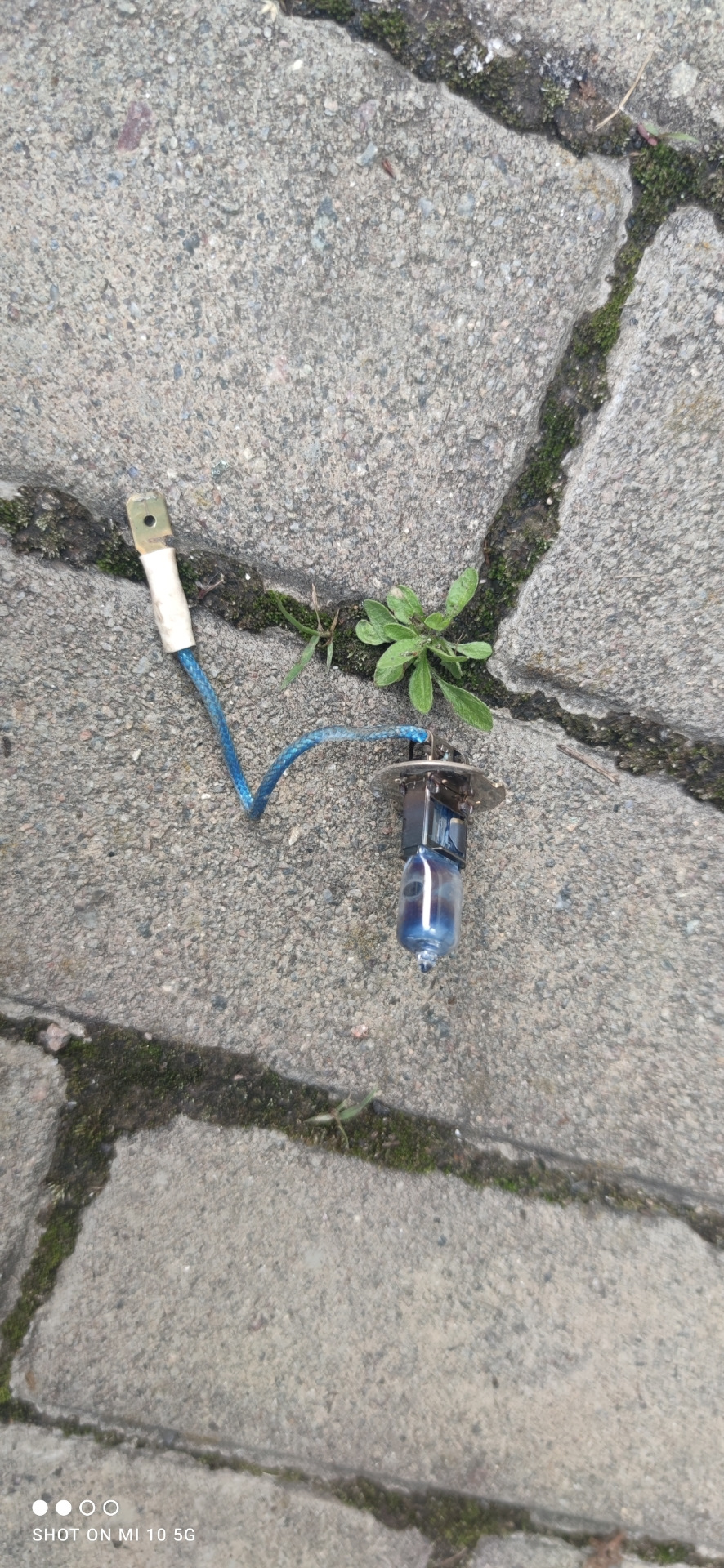 Заміна ламп ПТФ 3