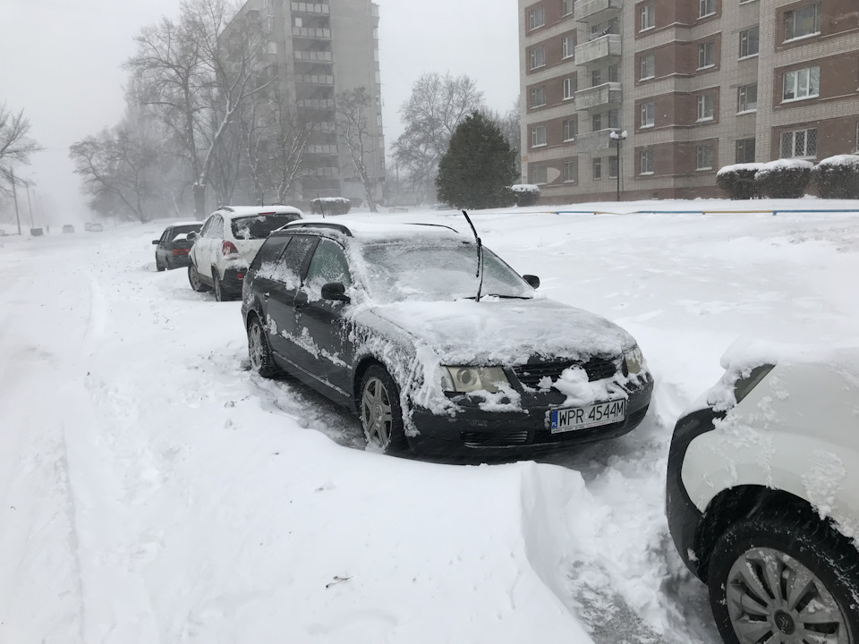 Зима цей рік прийшла рано 1