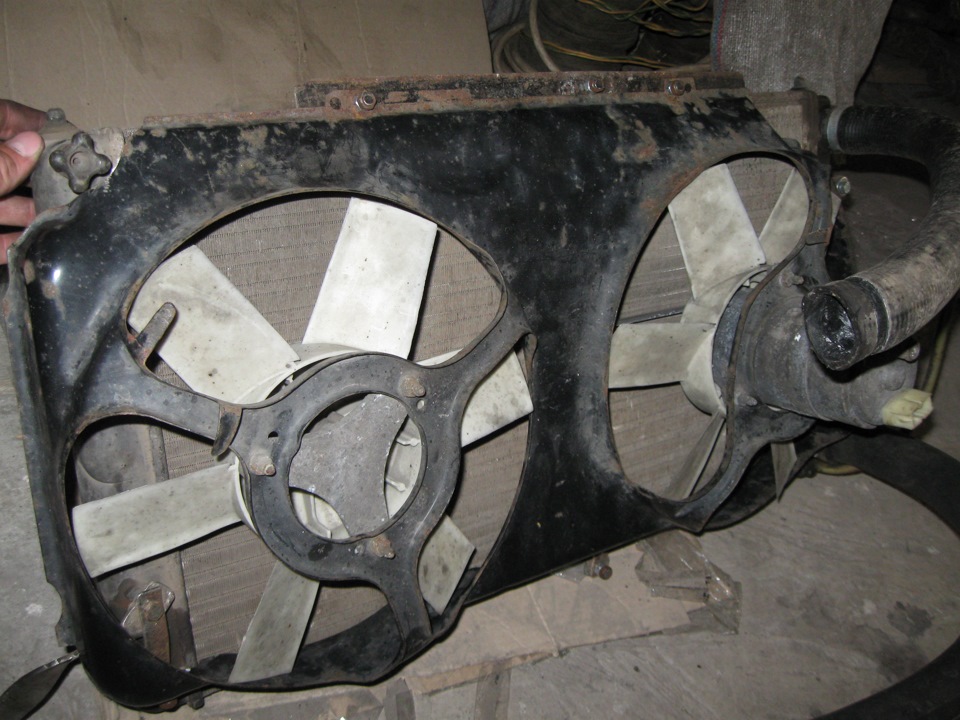 Нове серце. 5