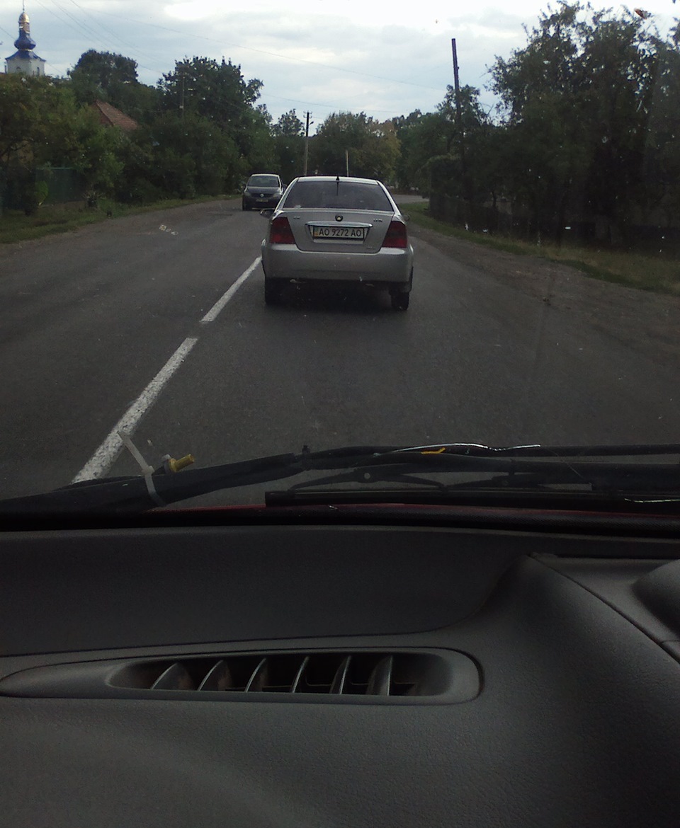 Гілки 5