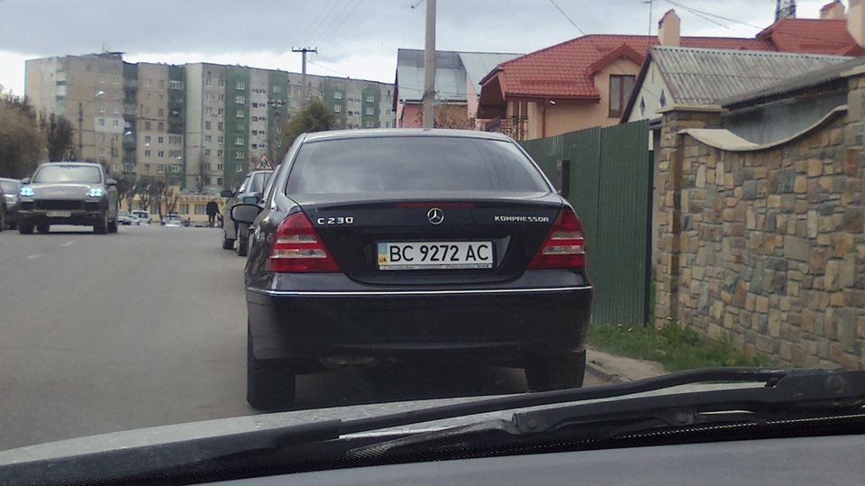 Гілки 4