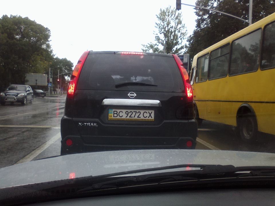 Гілки 3