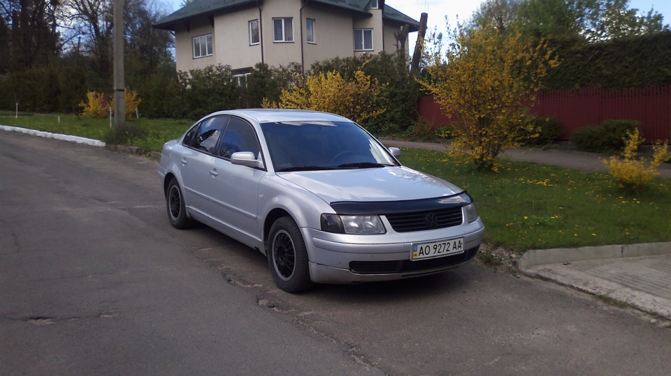 Весняне загострення. 3