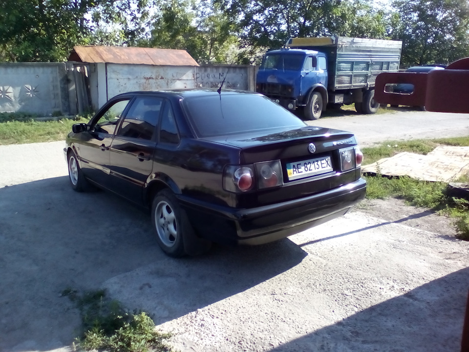 Пофарбували! 5