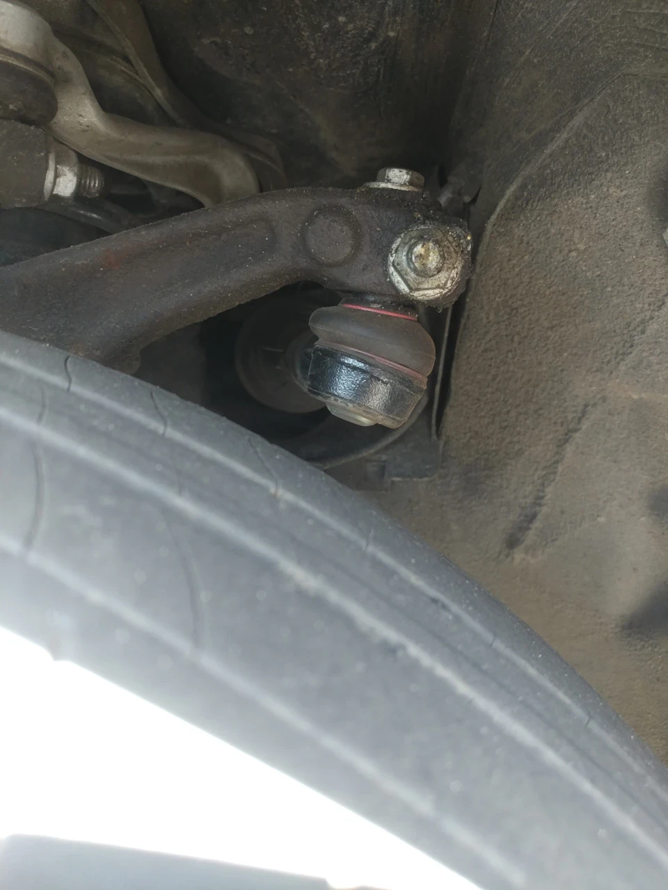 Це зовсім нормально?