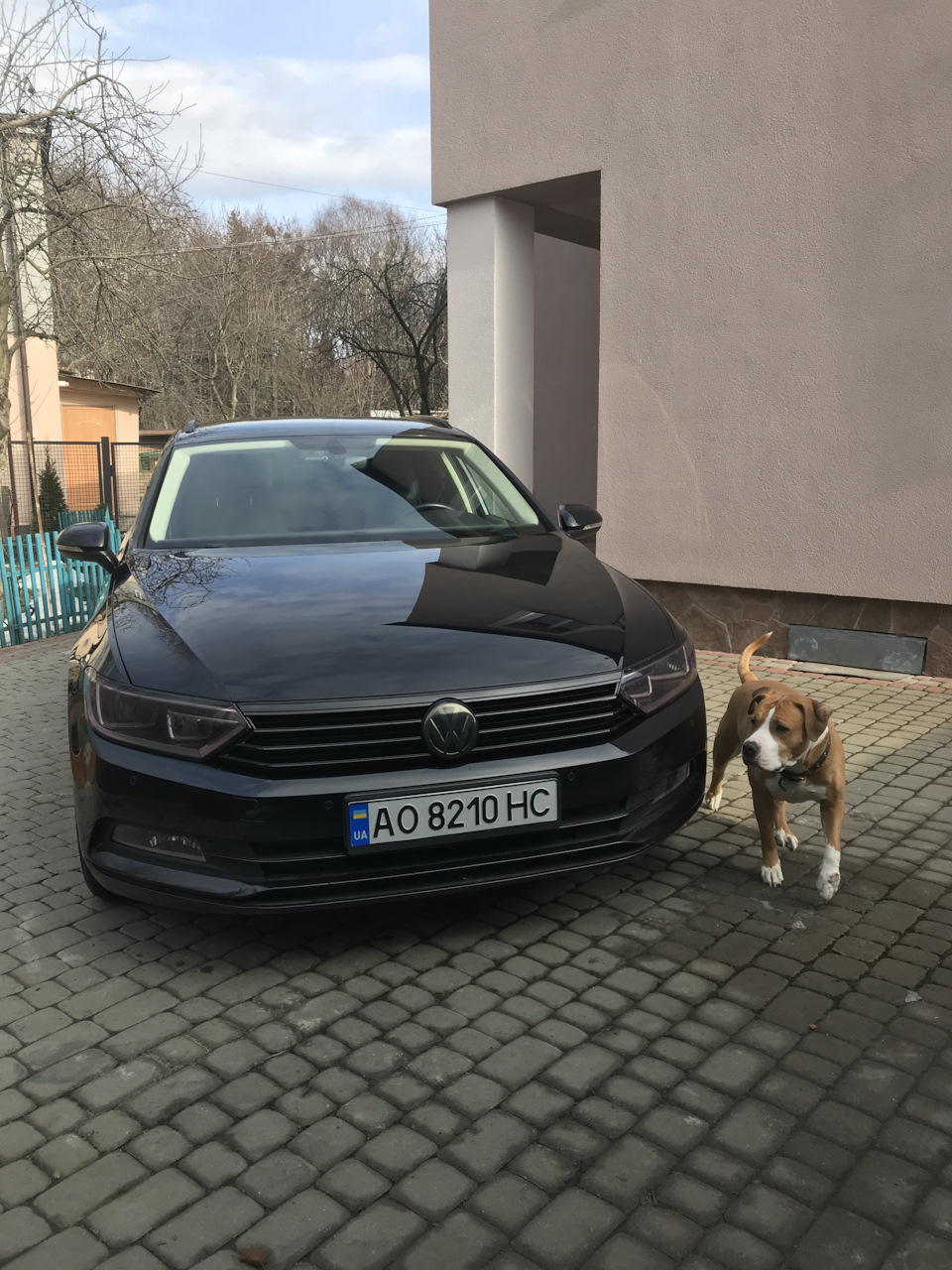 Все не чорне колись буде чорне 1