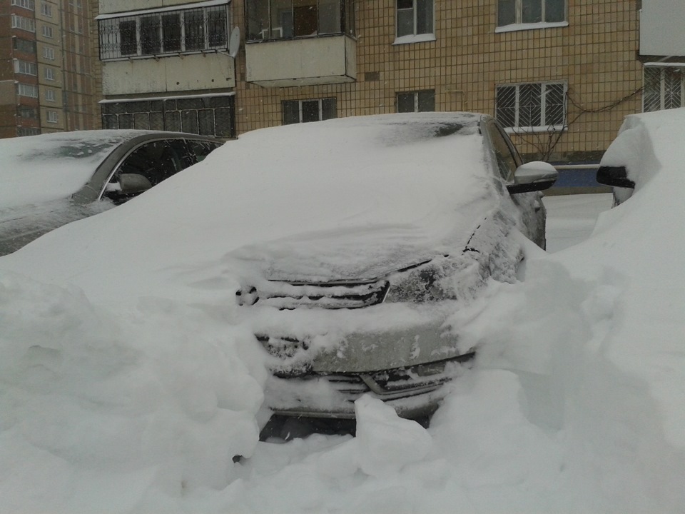 Весна у Києві, 23 березня. 5