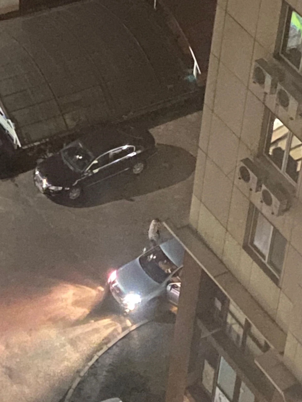 Поїздка з пригодами прекрасними дорогами України.