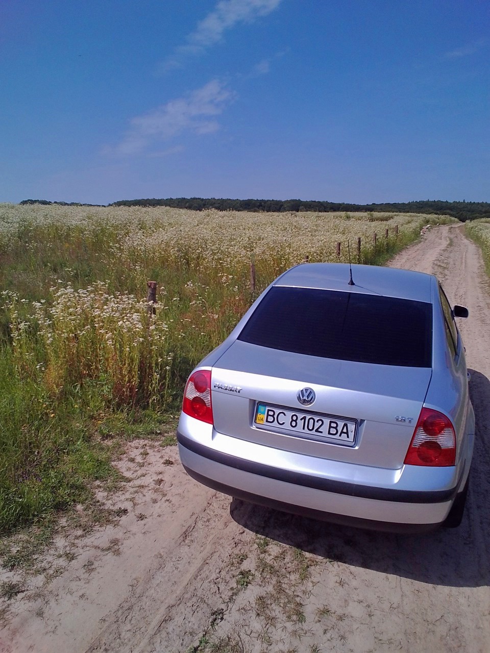 На природі Photo 1
