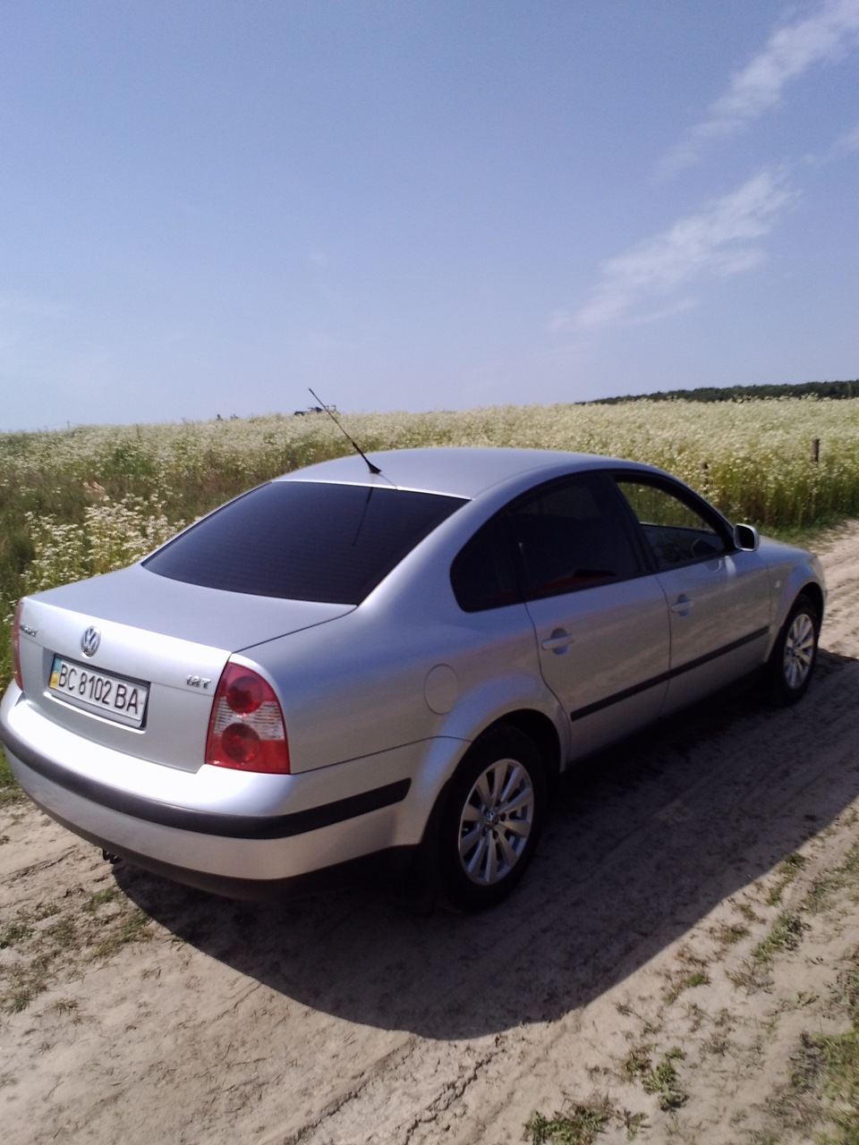 На природі Photo 4