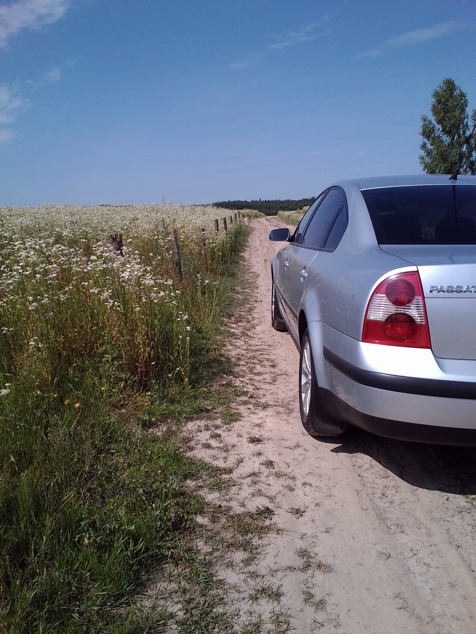 На природі Photo 3
