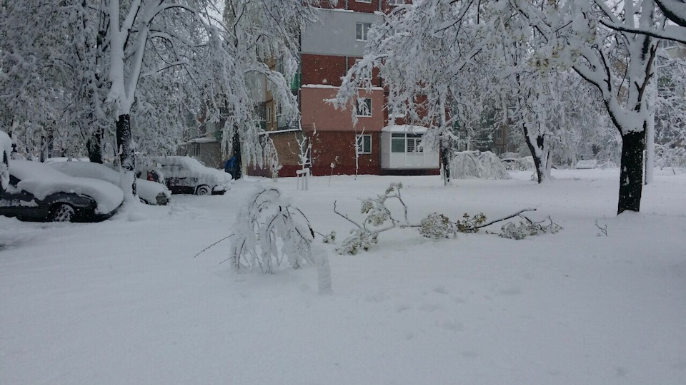 Скажіть, цього року весна буде? 2
