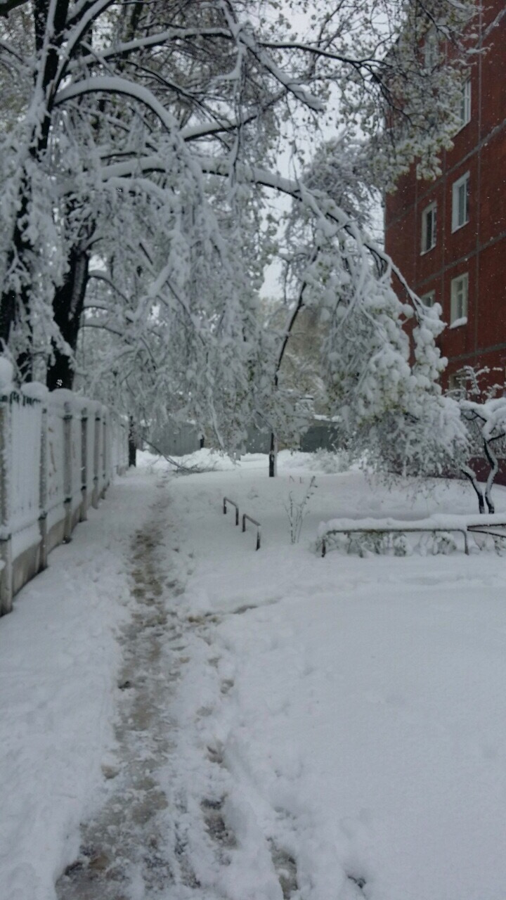 Скажіть, цього року весна буде? 3