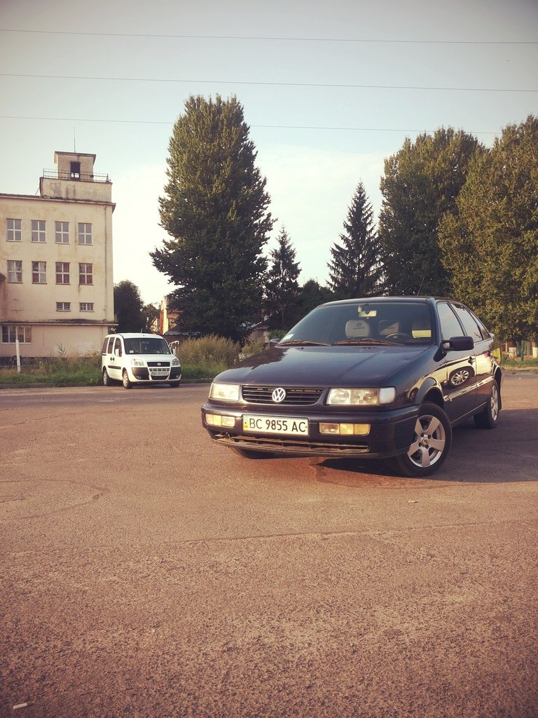 пару нових фотографій друга) 5