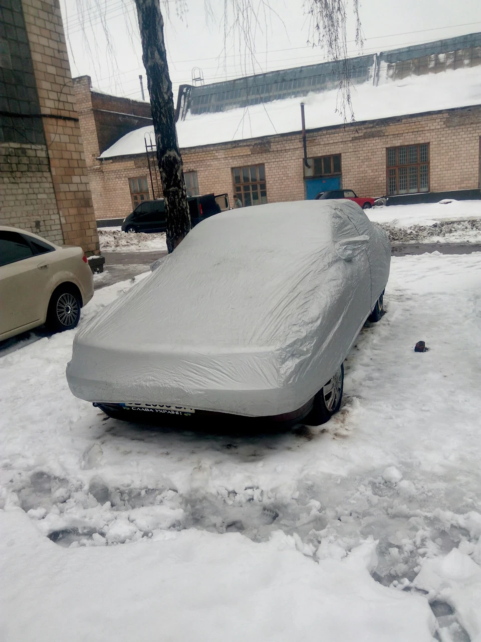 Питання до знавців