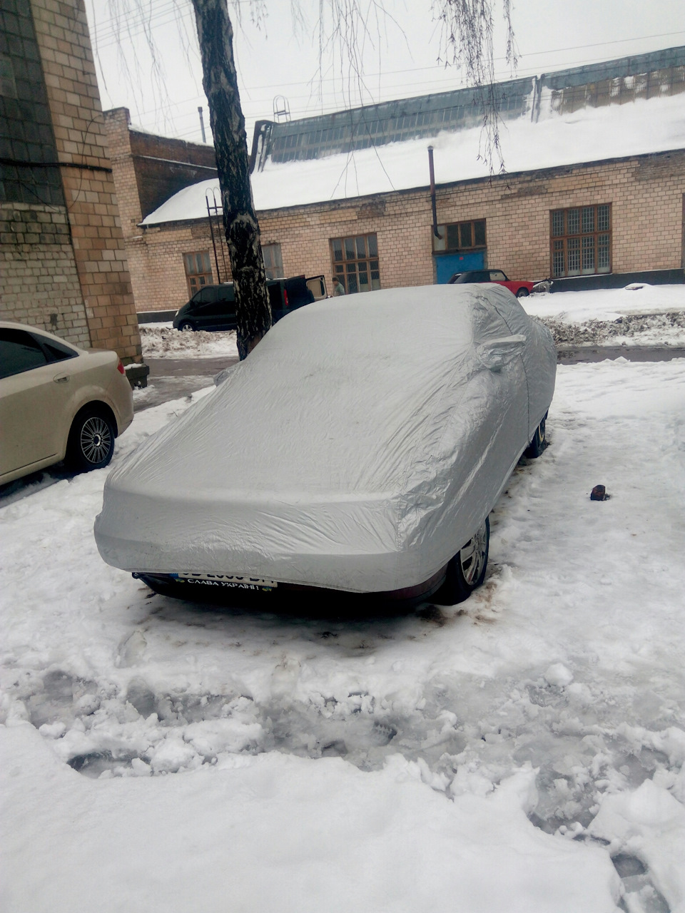 Питання до знавців 1
