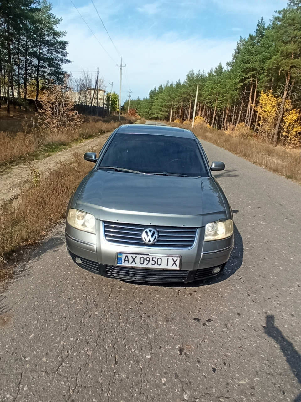 Дорога через ліс 3