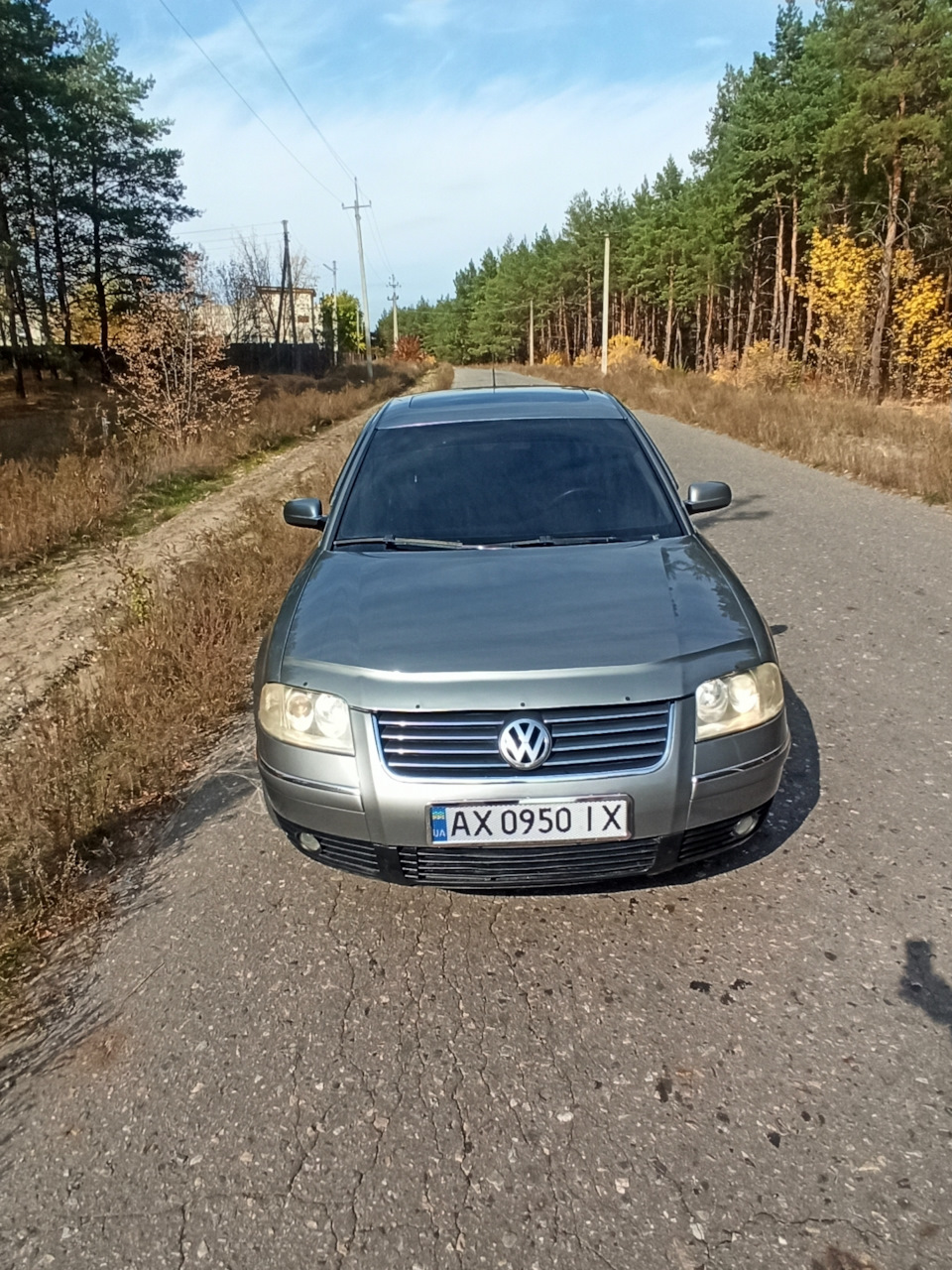Дорога через ліс 5