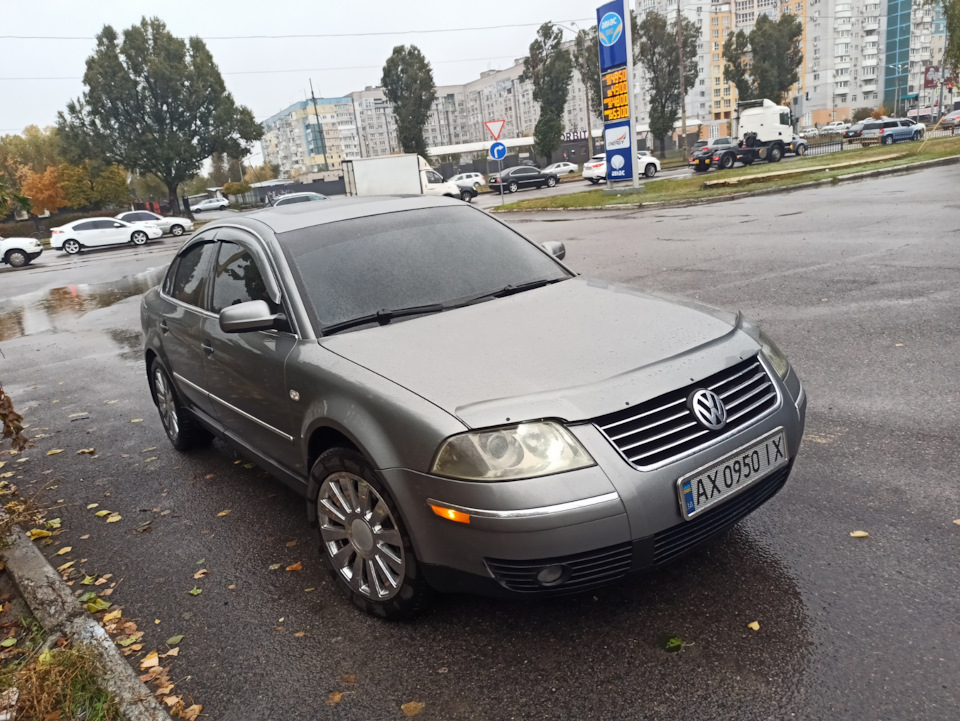 Фото в дощову погоду 4