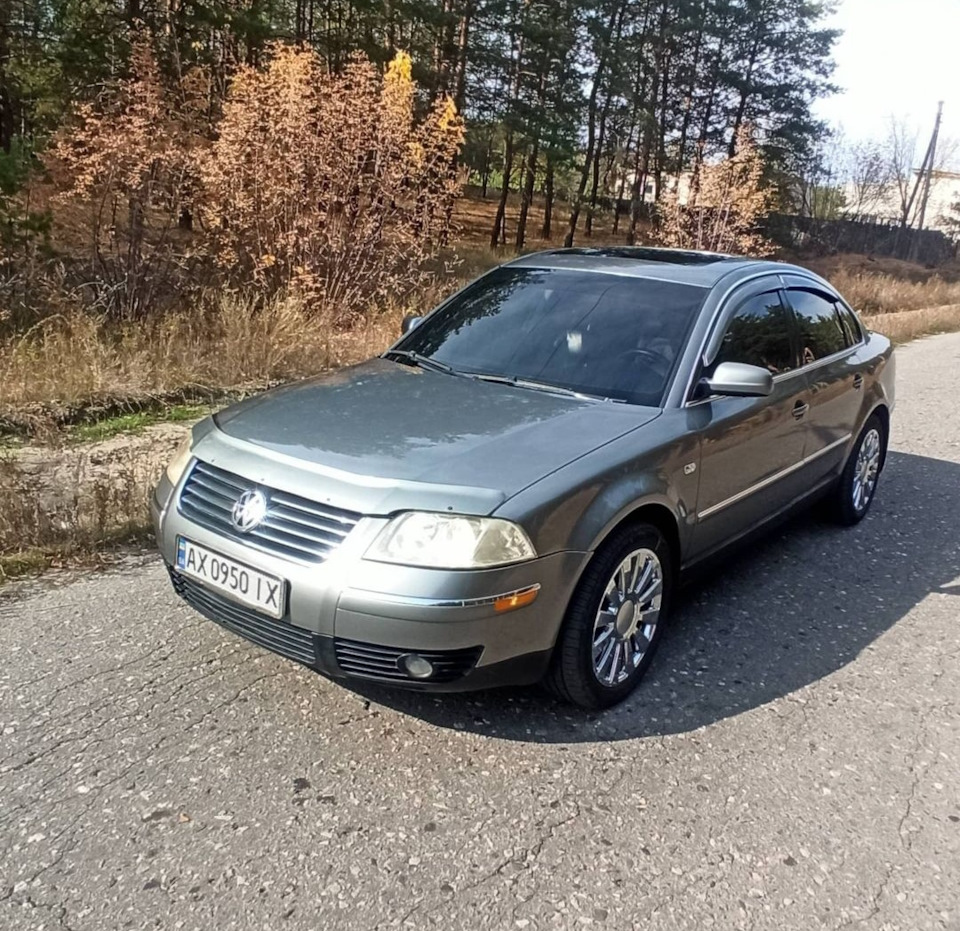 Сірі Passати 1
