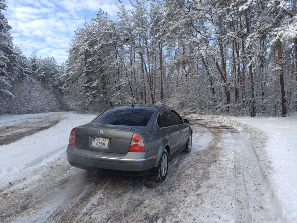 Казкова погодка❄️ 1
