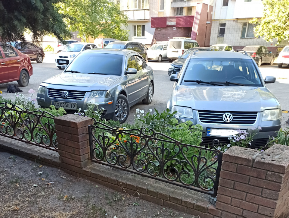 Вранці біля будинку 1