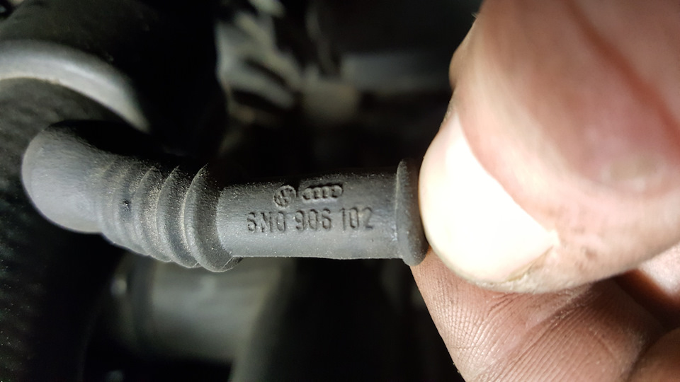 Ölsensor Werkstatt - passat b5 AVB 4