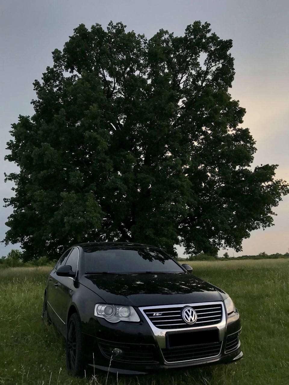 Чорні поворотники Passat b6 5
