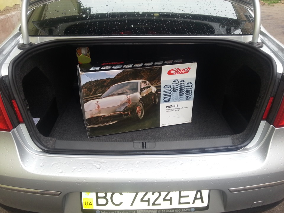 Eibach -30 Pro-Kit для Passat B6 1