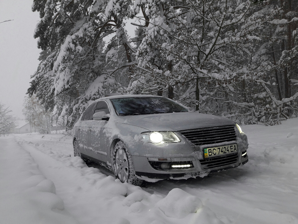 Welcome winter! 2