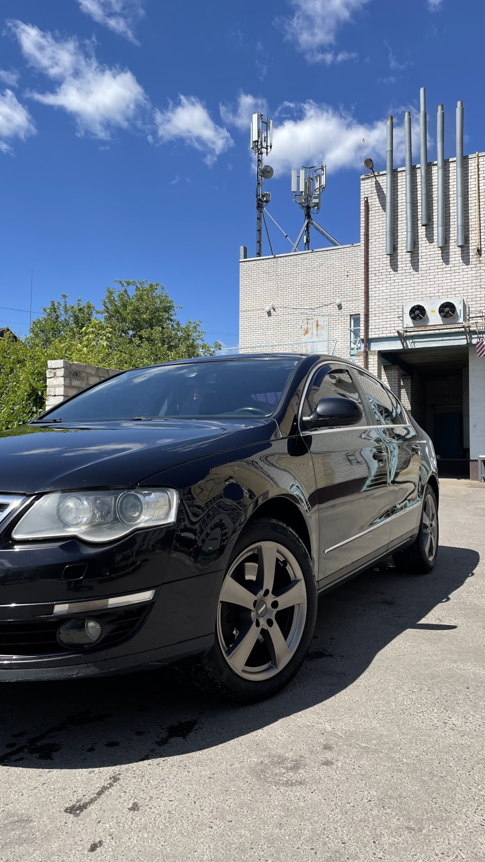 Нові тапки) 3