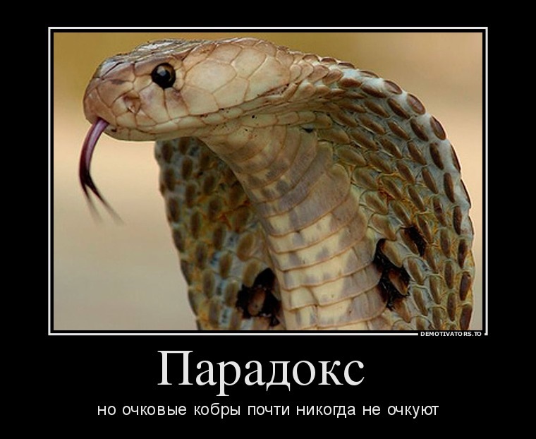 Парадокс) 1
