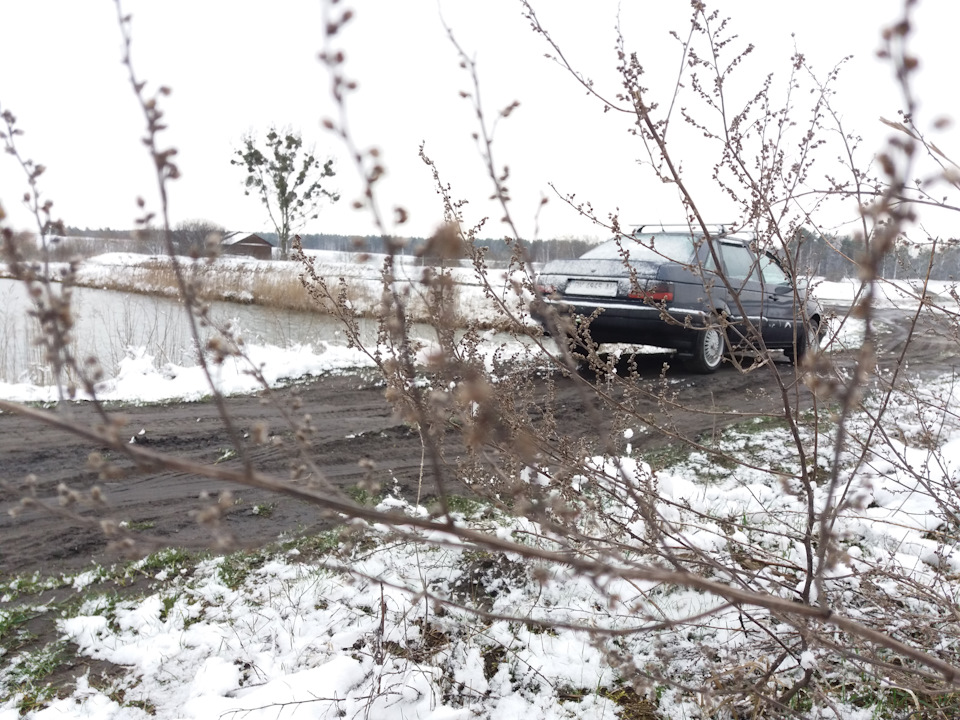 На весняній на галявині))) 5